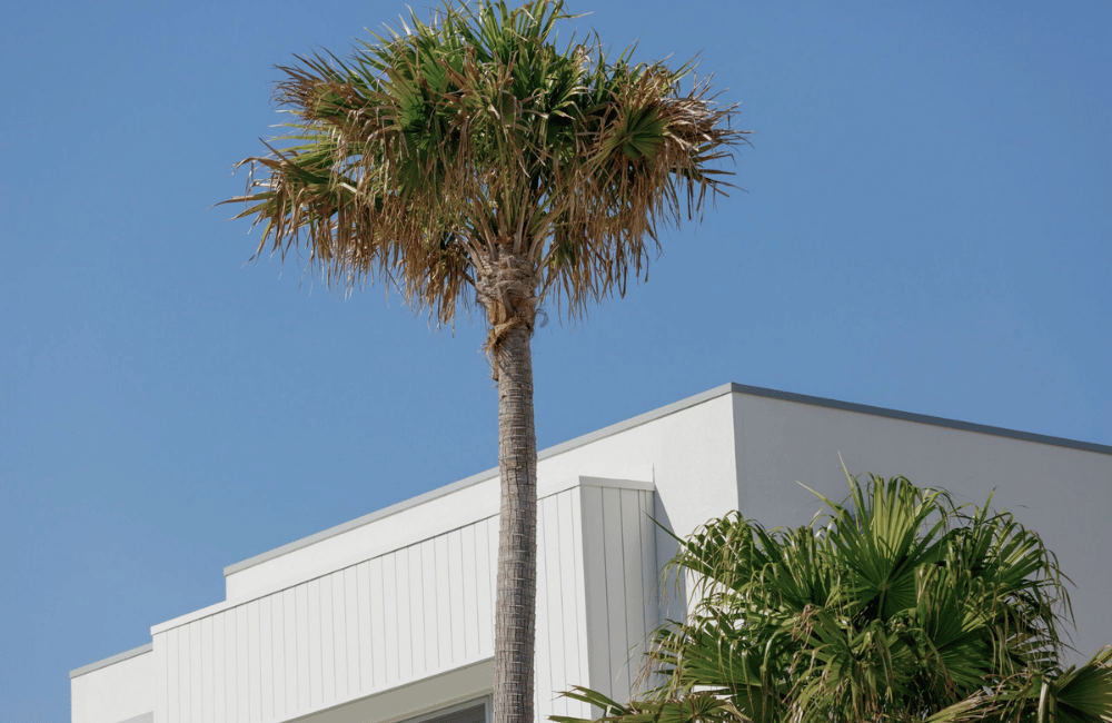 Due diligence and risk management in shopping centre capital transactions